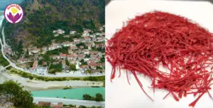 saffron price in Albania