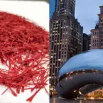 saffron price in chicago
