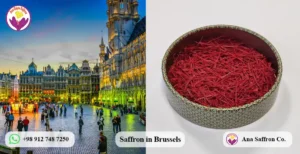 Buy Saffron in Bulk in Belgium