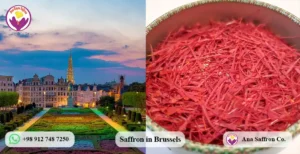 Saffron suppliers in Belgium