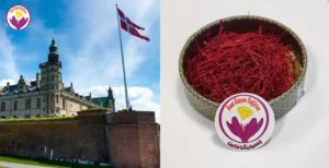 Buy saffron in Denmark