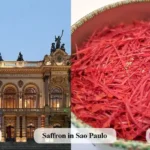 Saffron Sao Paulo