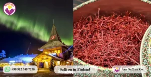 Saffron in Finland