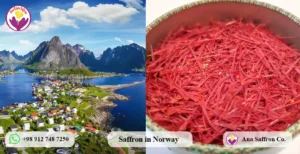 Price of Saffron in Norway