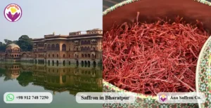 Bharatpur