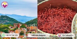 Buy saffron in Bulgaria