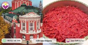 Saffron supplier in Bulgaria