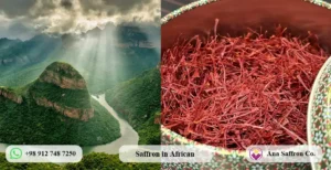 Saffron price in Africa