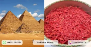 Wholesale Saffron in Africa