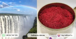 Where to Buy Saffron in Africa