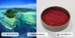 Your Reliable Saffron Supplier in Africa