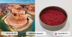 Buy Saffron in Americas – Fast Delivery