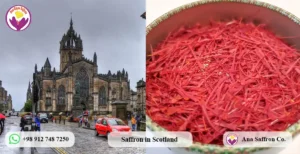 Price Per Gram of Saffron in Glasgow