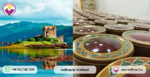 Where to Buy Saffron in Scotland?