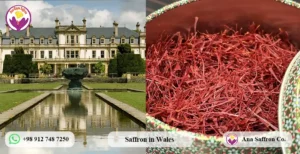 saffron price in wales