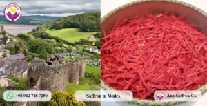 buy saffron in wales